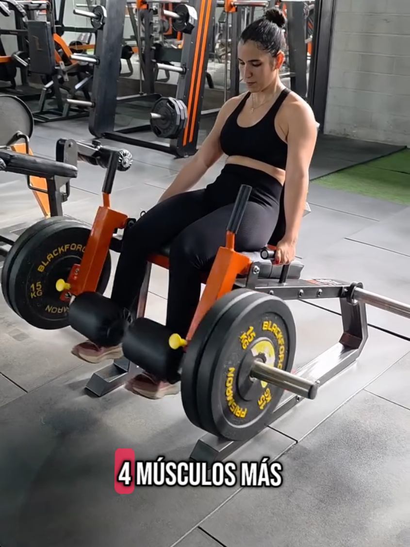 ✅️ Extensión de cuadriceps unilateral El enfoque de esta maquina es ofrecerte un entrenamiento aislado, para el desarrollo de tu cuadriceps femoral. Y llevar tu rutina al máximo 💪🏼 📱 WhatsApp: 04124339591 🇻🇪 ⚙️ Diseño: Versatilidad y mejor desempeño para tus instalaciones, Somos @ufperformancevzla  #ufperformancevzla #gym #UltraFitGym #cuadriceps #legday #legextension 