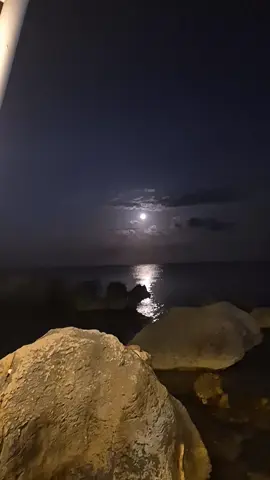 مطعم المنصورة فى الليل ....فى قليبية 