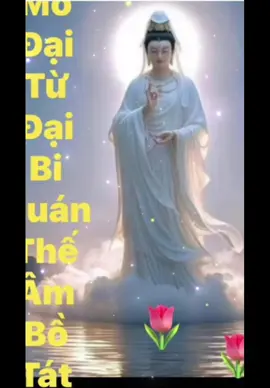 #nammoadidaphat🙏🙏🙏 #nammodaitudaibiquantheambotat🙏 #nguyện #Nguyệnmoinguoitamluonan #nguyện #tâmluonanlac #binhan 