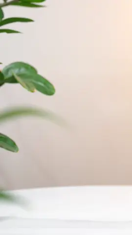 Dầu gội bơ dừa care 