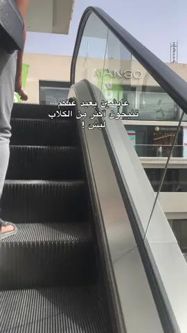 #اكسبلورexplore #للجلاب