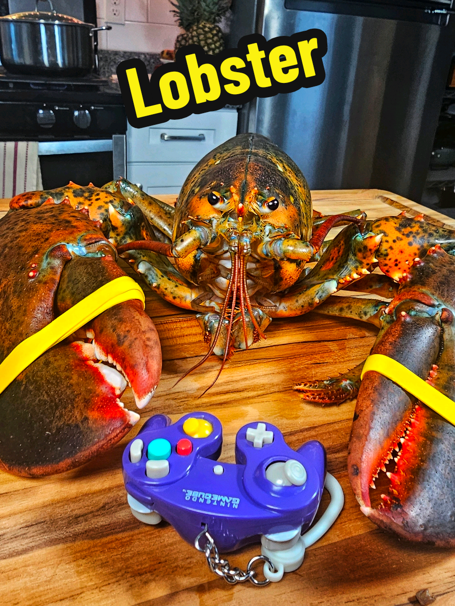 Quick and humane is the only way. Preparing a  lobster doesn't have to be complicated - just delicious! How do you like to eat lobster? #lobster #howto  Spices and herbs I used -rosemary -limes (halved) -peppercorns -onion ( quartered)  -bay leaves