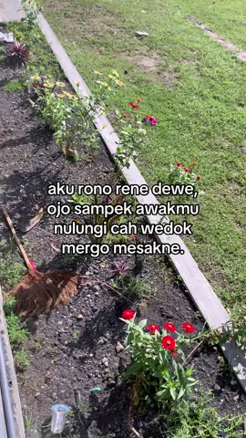 #rembang24jam #lbnewpost? 