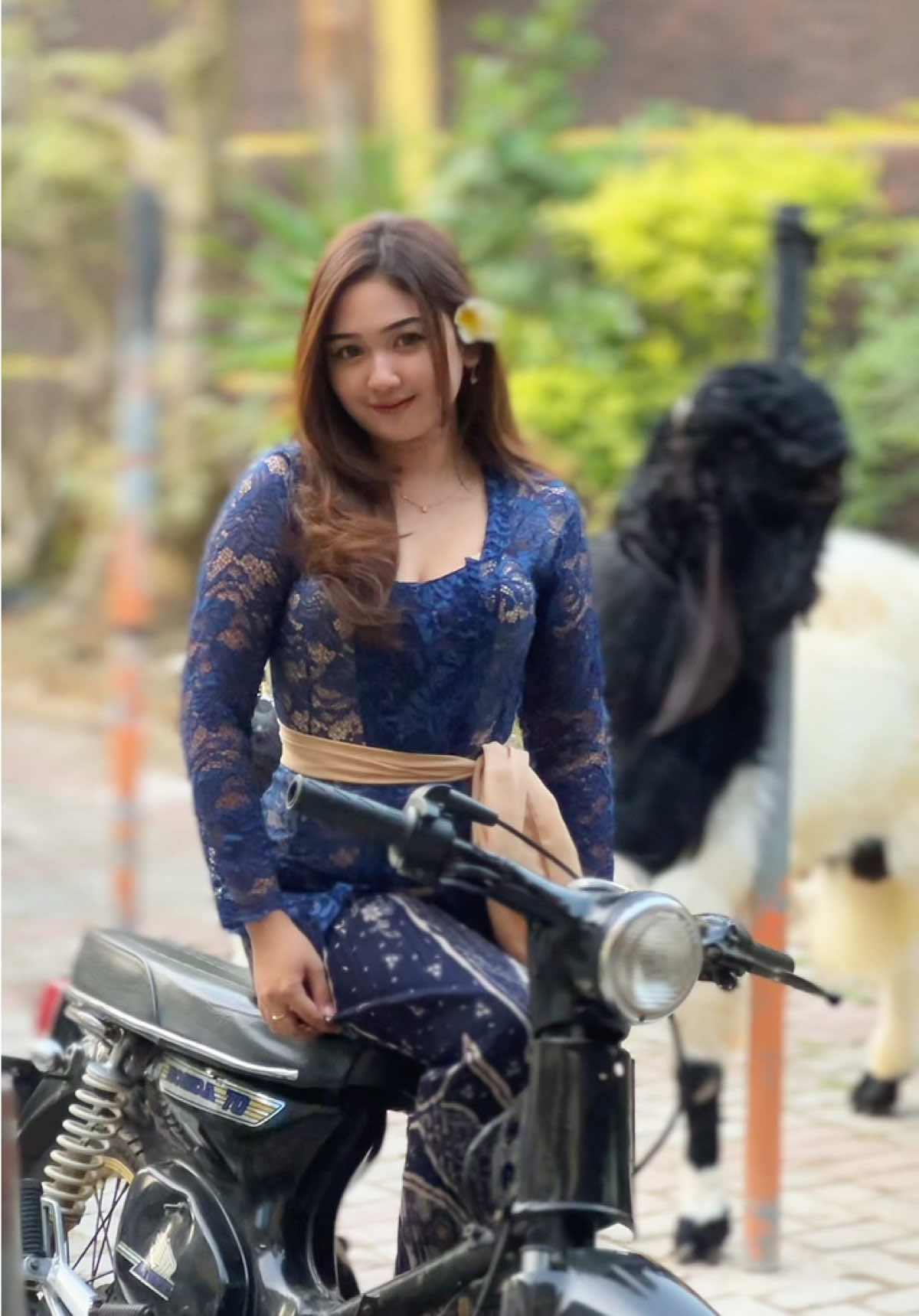 🐐❤️ #kambingetawa #kambingkaligesing #kambingkontes #pertenakmuda #sobatngaret #ponorogo24jam 