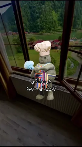 #Meme #MemeCut#excblorاكسبلـور__  