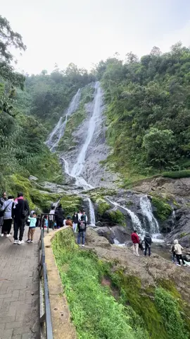 #sikarimdieng #airterjunsikarim #wisatawonosobo #diengwonosobo #dieng #wisatadieng #tripwonosobo #fyppppppppppppppppppppppp #fypage 