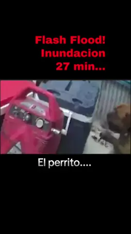 Flash Flood... only 27 min Be safe!!! Que triste!!#latinos #viral #trending #flashflooding 