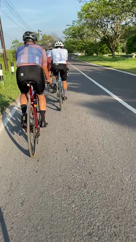 Easy ride #roadbike #fyp #alwaysgasdor🔥 #fixedgearphilippines #sepeda #sepedacustom #dtswiss #cinelli 