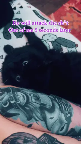 #blackcatproblems. 