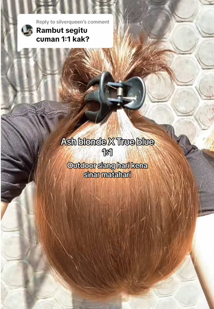 Replying to @silverqueen iya cuma 1:1, kalo mau lebih menyala kenya 2:1 deh, monmaap rambutnya udah kek bunglon aja. @Garnier Indonesia #garnier #garnierindonesia #garnierhaircolor #hairstyle #nobleaching #nobleach #asblondextrueblue #catrambutsendiri #blonde #fyp #padahariini #erlinadiaa 