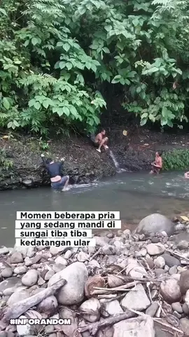 Beberapa pria yanh sedang mandi disungain tiba tiba kedatengan ular 