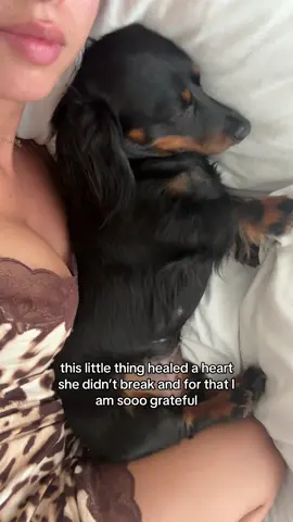 Replying to @Jen O after my first fur baby passed I didn’t think it’d be possible to do it again 🥹😭 they both softened my heart so much in the most beautiful way #Love #girls #dog #dachshund #cute #grief #growth #furbaby 