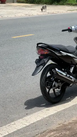 Spark 135i …#exciter #ex135 #lc135 #exnho #ex2010kieng 