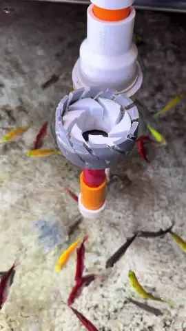 Hút mặt xoay size 50 - 75 - 110 cho hồ kiếng và hồ Koi bao nổi bao xoay #hocacanhduong #hutmathoca #phukienhoca 