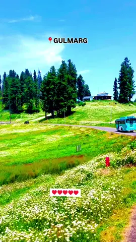 #fyp #viral #duet #standwithkashmir #jammukashmir #fouryoupage #beutifull 