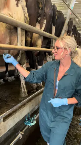 The best skin care 🥰 #agriculture #farming #dairyfarm #agri