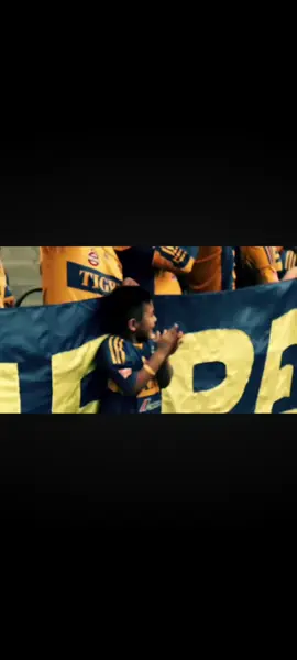 No entenderían el sentimiento de irle a tigres💙💛🥹#paratii #paratiiiiiiiiiiiiiiiiiiiiiiiiiiiiiii #video #videoviral #tik_tok 
