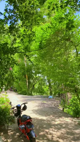 Gió j mà muon bay lun cây trứng cá cua tui lun vay chen 🤭🤭#nhachaymoingay #nhacnayhay #fyp #xuhuong #viralvideo #canhchillvungque🌾 #canhchill #canhdepmientay #67angiang 