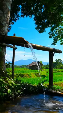 Sejuk dan damai 🥰 #ndesovibes #nature #suasanapedesaan #rural 