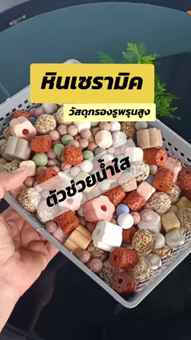 หินเซรามิค วัสดุกรองรูพรุนสูง ใช้เป็นที่อยู่จุลินทรีย์ได้ดีและใช้เป็นวัสดุกรองตู้ปลาได้#วัสดุกรอง #วัสดุกรองตู้ปลา #เซรามิคริงค์ #จัดอ่างปลา #หินเซรามิค #หินกรองตู้ปลา #เลี้ยงปลาสวยงาม #สินค้าขายดี 