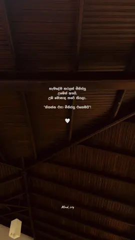 මිනිස්සු එහෙමයි! #fypシ゚ #foryoupage #Mindcryquotes #sinhalaquotes 