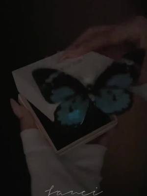 Who hasn't received the glowing butterfly necklace from their boyfriend yet