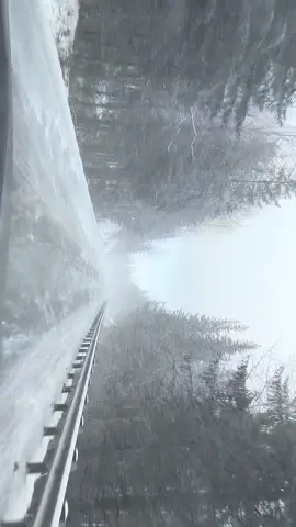 this song just fits this so well