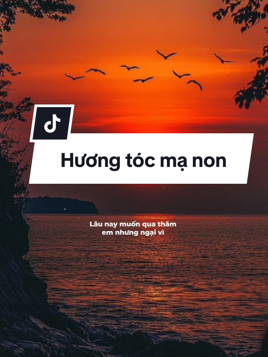 Lâu nay muốn qua thăm anh..#HươngTócMạNon #nhachaytiktok  #nhactrutinhhay #nhacthinhhanh  #xuhuongtiktok 
