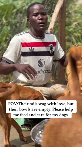 They’ve given me unconditional love now they need a little help. Any support for their care means the world. . These dogs have no voice, but I’m speaking for them. Your donation can bring them comfort, food, and hope.#donate #rescuedog #DonateToSave 