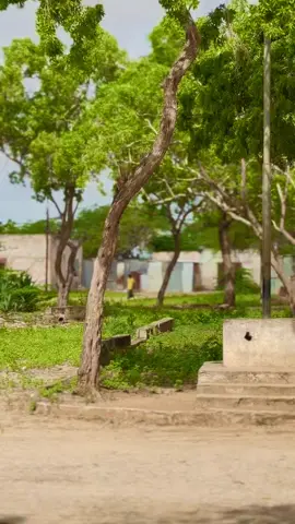 Only legend le sheegi karo meshan #somalitok #fouryoupage 