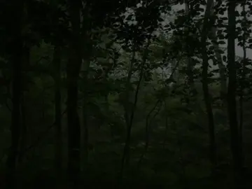 사랑은 어떨까요?