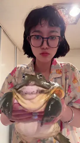 Are pets cute#Big frog