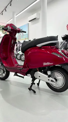 Chắc Là Không Đỏ Đâu ❤️ TaiLg R51 Cho Ai Yêu Màu Đỏ 🥰 #tailgr51 #xemaydienr51 #tailghaiduong #xedientailg #128thongnhat #yeumaudo #hot 