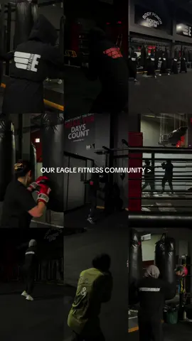 Strength in numbers. Power in community. This is Eagle Fitness.🔥🖤 #EagleFitness #EagleCommunity #GirlsWhoTrain #WomensFitness #BoxingGirls #StrengthInSisterhood #TrainTogether #FitnessMotivation #GroupTraining #SweatWithUs #EmpoweredWomen #GymLife #FitnessCommunity #StrongWomen #FemaleFitness