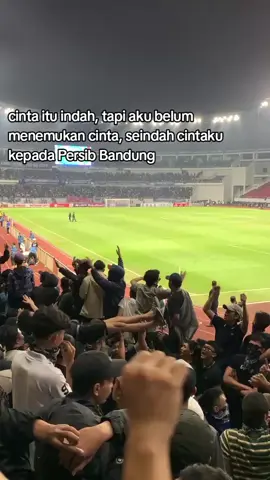 #fyp #persibbandung #nothernwall20 #bobotohpersib #casualoutfits 