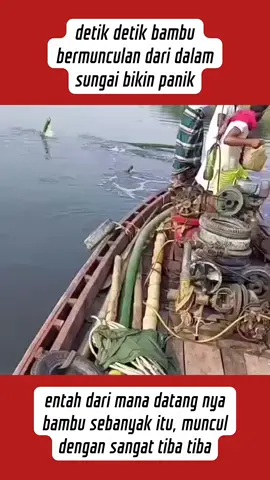 #kumpulanvideolucu #videolucu #ketawangakak #lucu #funny #misteri #komedi #takut #masukberanda #viral #fyp #tiktokfyp #tiktokviral #trendingtiktok #trending #semuaorang #pengikut #horror #misteri #serem #penampakan #hewananeh #artist   #artisviral 