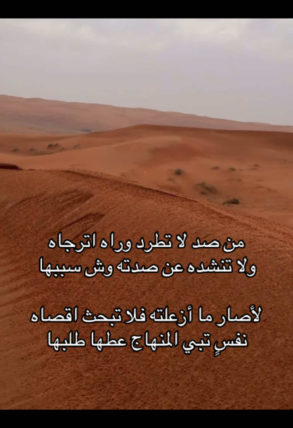 #لايك #اكسبلورexplore #fyp #شعر #قصايد #foryou 