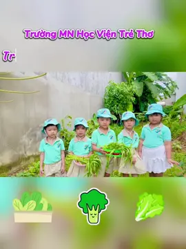 Hôm nay các bé khối lá được đi ra vườn trải nghiệm hái rau 🍃🍃🍃#hocvientretho #gvmn #trainghiem #khampha 