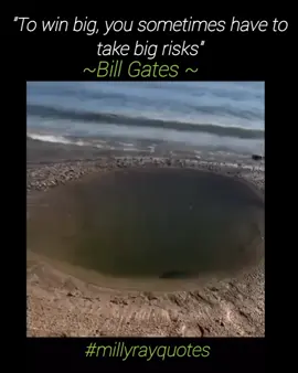 to win big, you have to risk big#billgates #stitch #fypシ゚ #fyppppppppppppppppppppppp 