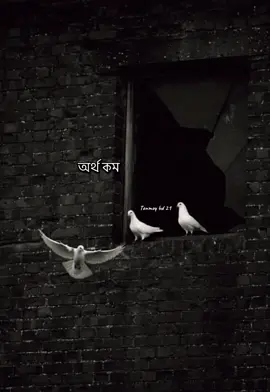 অর্থ কম থাকুক🥰🥰#creatorsearchinsights #ভালোবাসা #foryoupage @Creator search insights 
