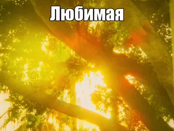 13:25//@Вокальный коллектив КСБ #любимаяты#ослепительна#ksbmuzicщитпост#ослепительна#песня#песнякотораяописываетменя#ksbmuzicослепительна#сиялиибудемсиять 