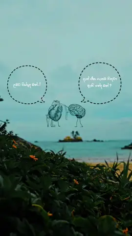 🫀+ 🧠
