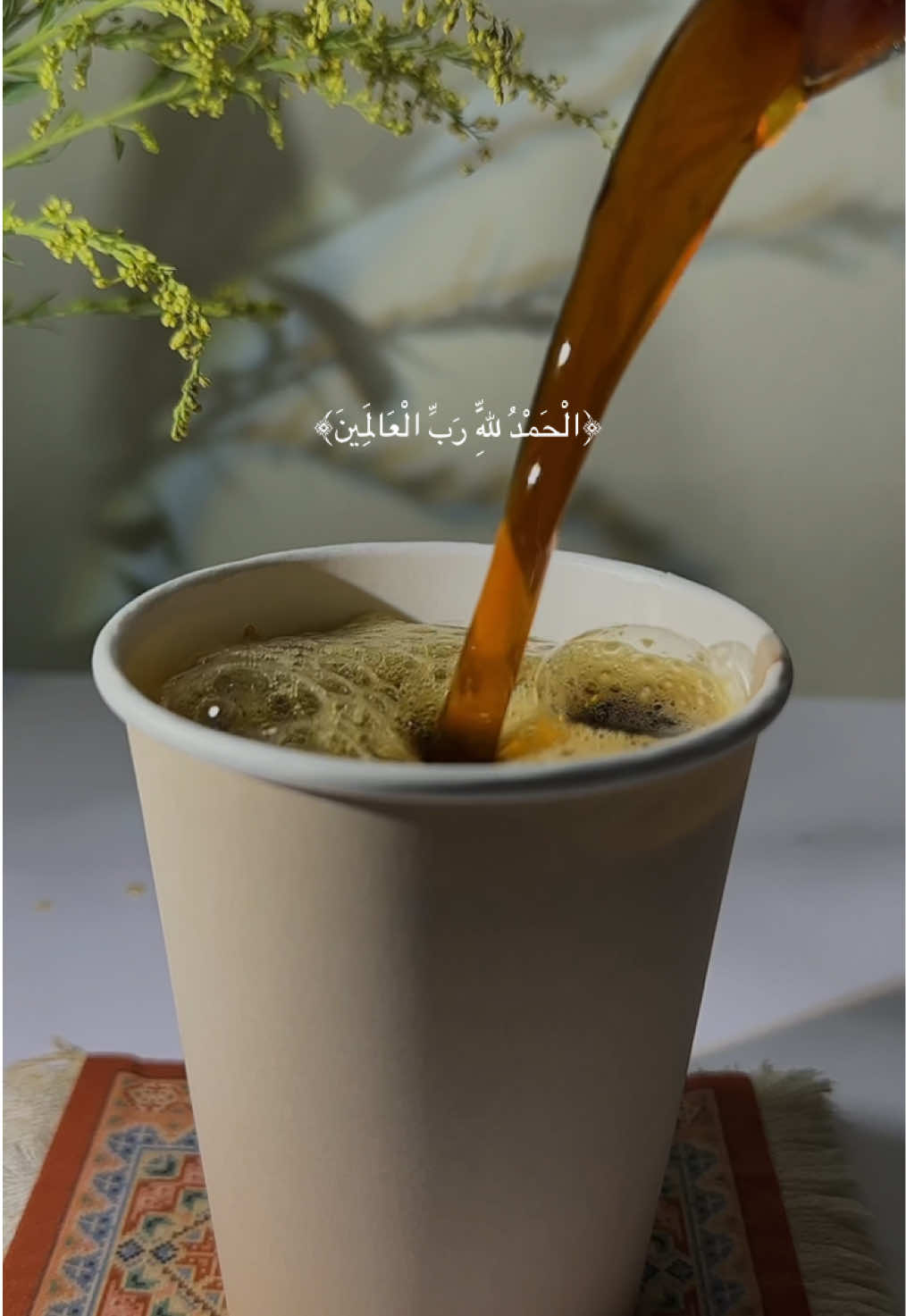 الحمدلله دائمًا وابدًا 🪴🤍 . #wink #الجمعة #صوت_قران_جميل #your_coffee #v60 #طريقة v60 بارد لكوبين #fyp #Wink #بدون_موسيقى 