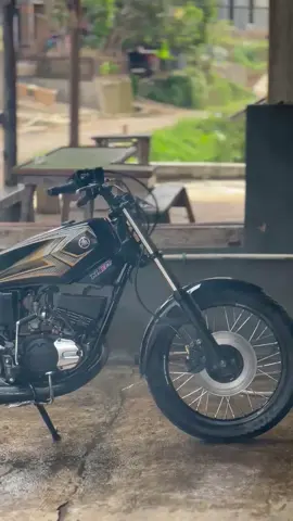 #rxking135cc 