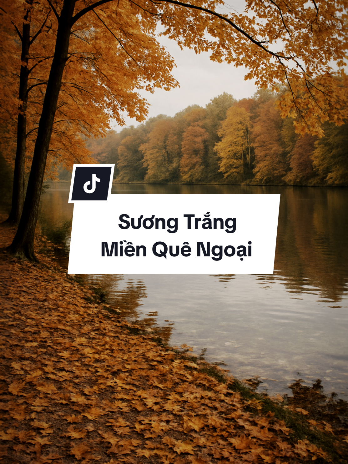 Nhạc bolero remix quá đỉnh #nhactinhsaulang #nhacsuybuon #SBKentertainment #boleroremix 
