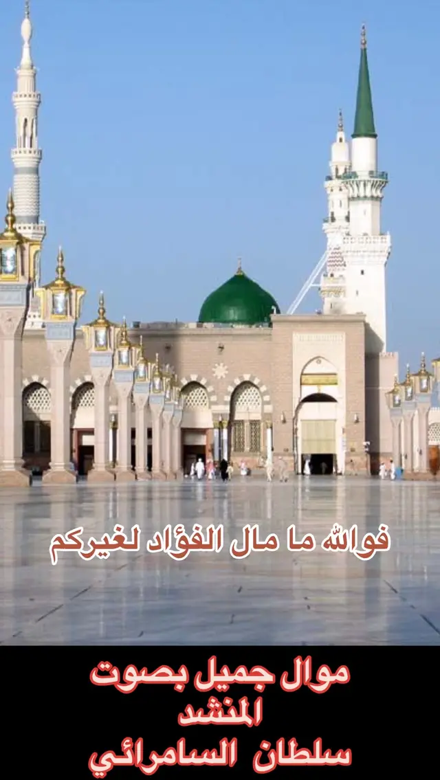 #مشاهير_تيك_توك #مشاهدات #مشاهدات100k🔥 #حب #اللهم_صلي_على_نبينا_محمد #الله #اللهم_صل_وسلم_على_نبينا_محمد #الله_اكبر #اللهم #اللهم_صل_على_محمد_وآل_محمد #اللهم_لك_الحمد_ولك_الشكر #لايكات #لايك__explore___ #لايك_متابعه_اكسبلور #لايك_فولو #لايك_كومنت 