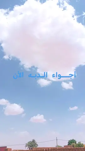 #الشعب_الصيني_ماله_حل😂 #مليون_مشاهدة❤ #مشاهير #تيك_توك الدبه الان 
