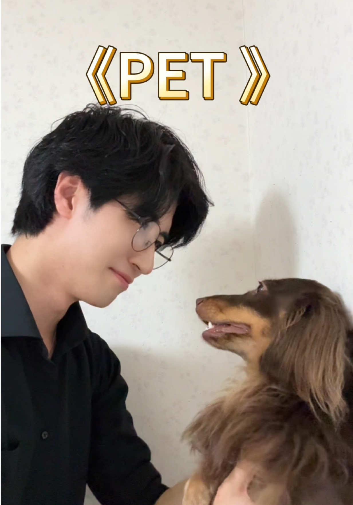 How to Talk to Your Pet in Japanese#japaneselanguag 