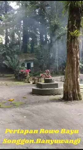 Sambang Leluhur #Pertapaan Prabu Tawang Alun.Raja Kraton Macan Putih Blambangan Banyuwangi.