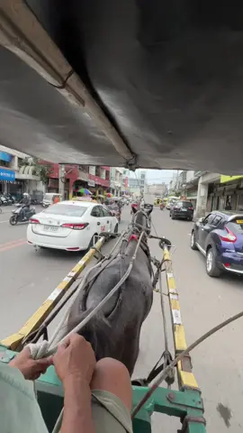 cebu's oldest mode of transportation....kalesa🧲🐎  #oldstreet #colon #pasil #cebucity #horse #transportation #kalesa #fyp 